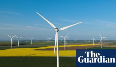 ‘Climate solutions will bring down bills and restore nature’: green issues and May elections | Local elections 2026