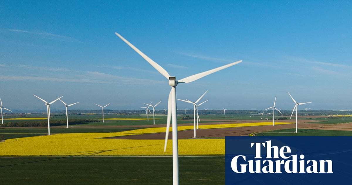 ‘Climate solutions will bring down bills and restore nature’: green issues and May elections | Local elections 2026