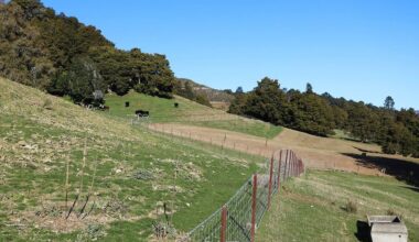 Great Taste Trail: Tasman farmers blast plan to run cycleway through farmland
