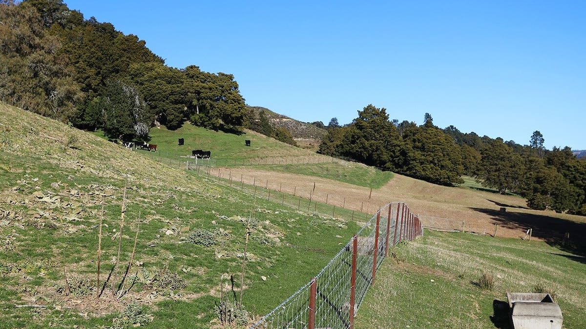 Great Taste Trail: Tasman farmers blast plan to run cycleway through farmland