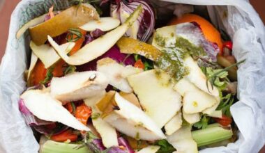 Food waste to energy: Auckland scraps converted to gas and fertiliser, but uptake lags