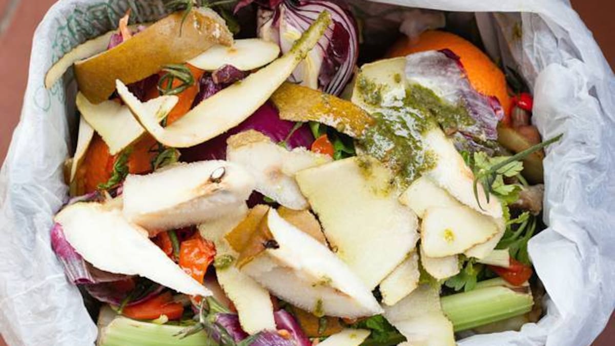 Food waste to energy: Auckland scraps converted to gas and fertiliser, but uptake lags