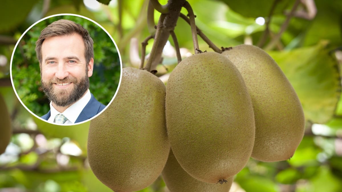 India free trade agreement: Zespri welcomes deal as kiwifruit tariffs slashed