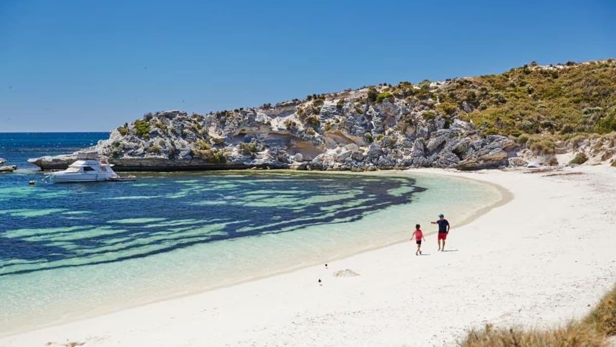 Update after ‘horrific’ shark attack kills man, 38, off popular Aussie island