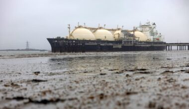 LNG terminal back on after April Cabinet decision – report