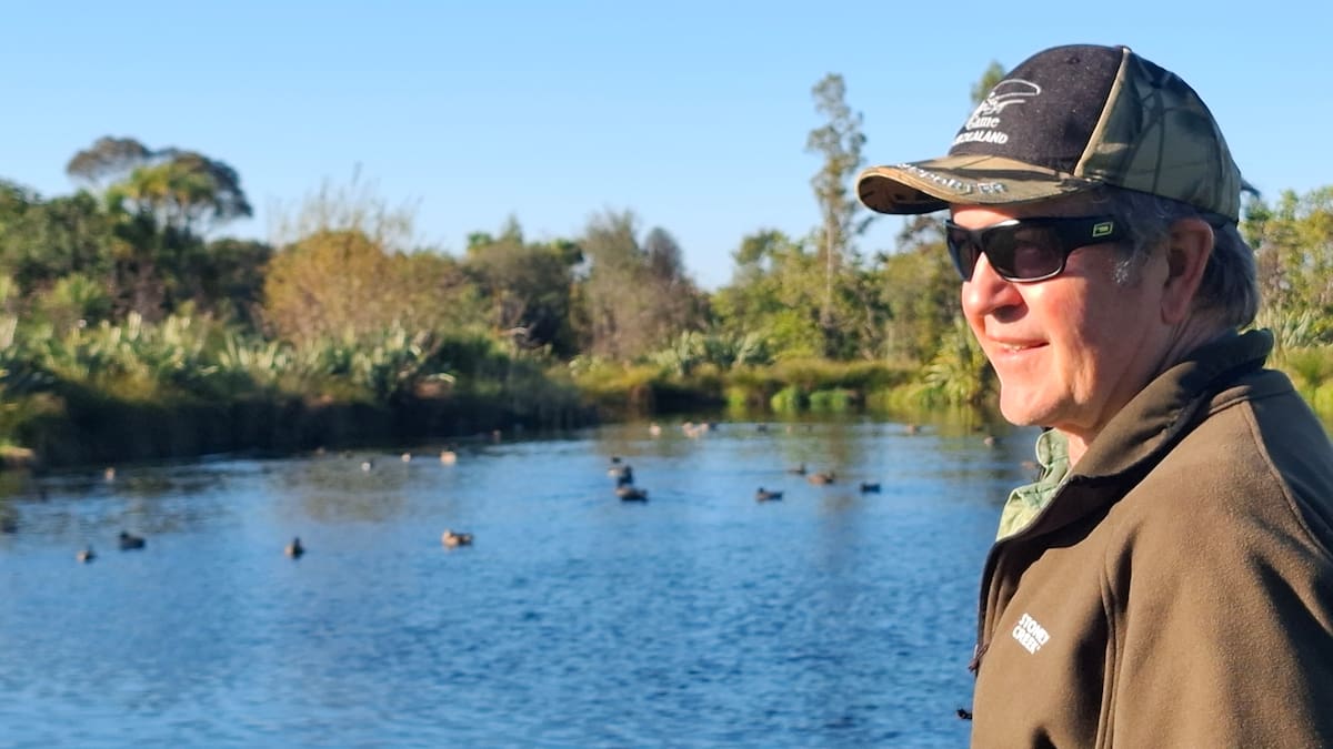 Duck shooting season: Do they know it’s coming?