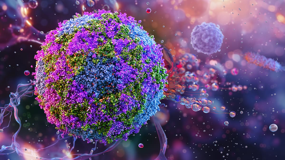 Poliovirus detected in one Western Australian wastewater catchment