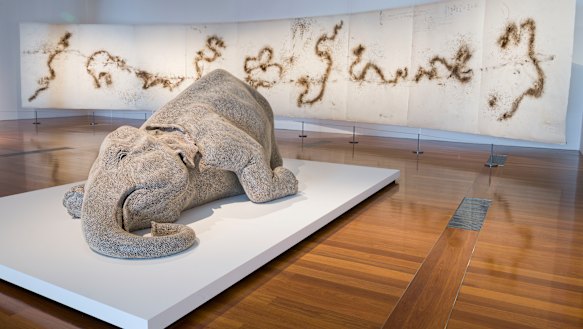Bharti Kher’s The Skin Speaks a Language All its Own, at Queensland’s Gallery of Modern Art. 