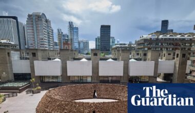 ‘It smells like my ranch!’ Diva of dirt Delcy Morelos and her amazing 30-tonne earthworks | Art