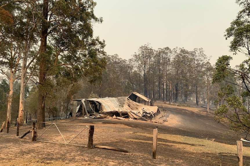 A dry, brown piece of land with burnt tall trees lining a clearing which shows a burnt, crumpled shed