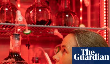 ‘Living library’: inside the marine biobanks racing to protect ocean species from extinction | Marine life