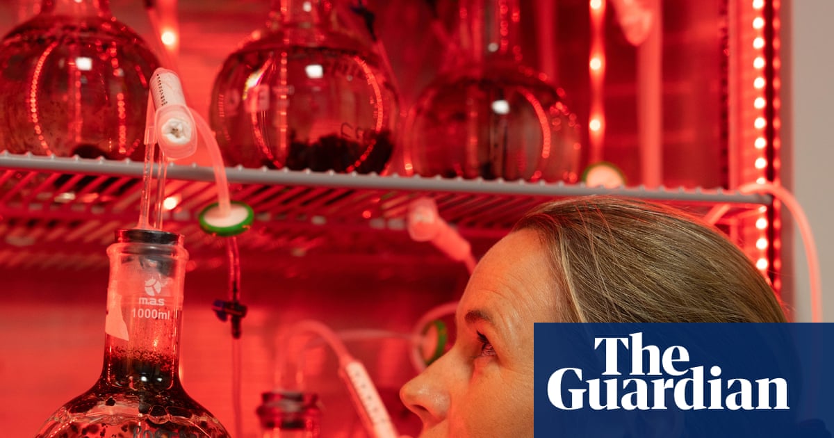 ‘Living library’: inside the marine biobanks racing to protect ocean species from extinction | Marine life