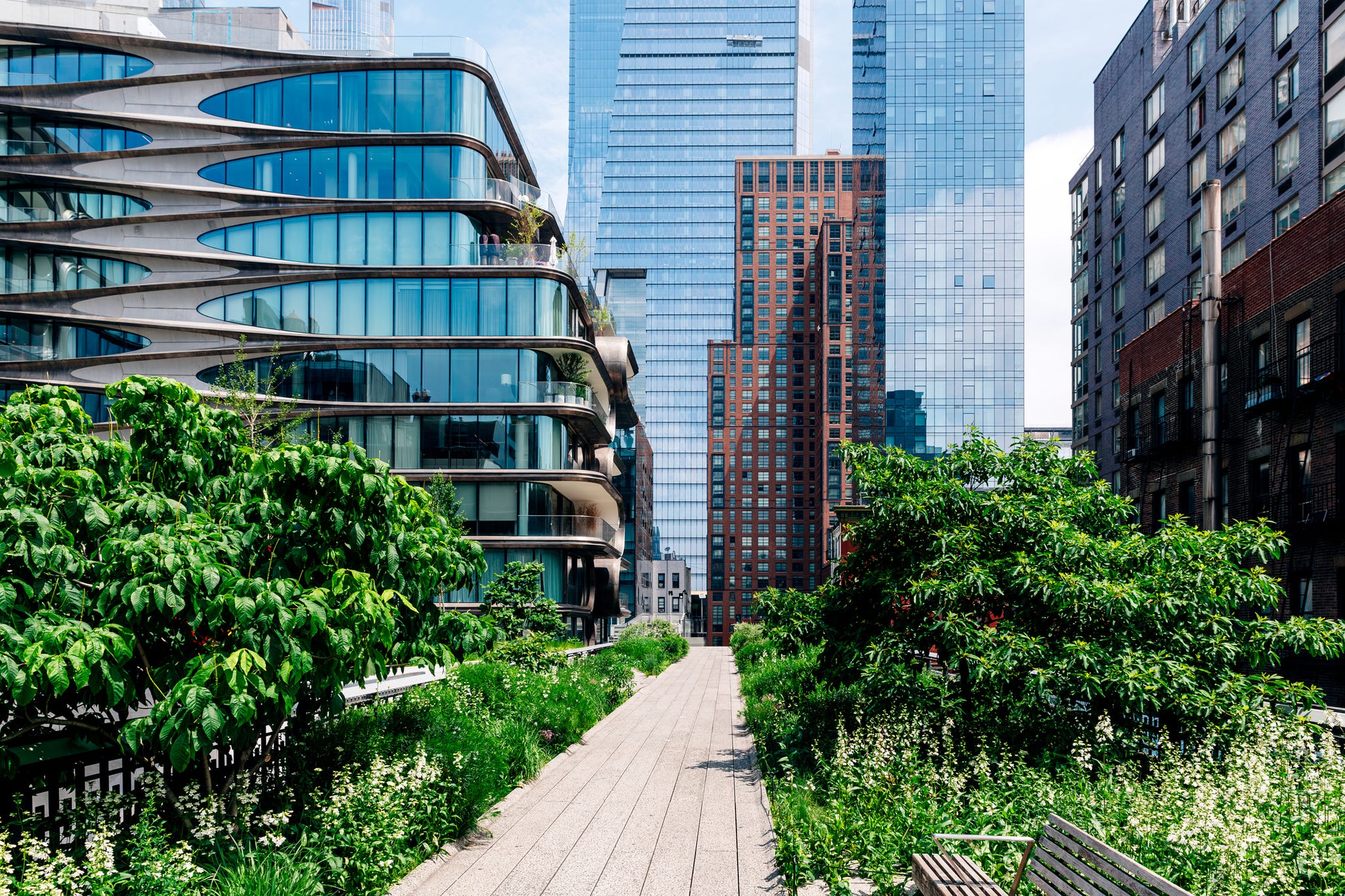 High Line Park and Hudson Yards skyscrapers on a sunny summer day, New York, USA
