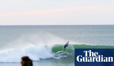 WSL event in New Zealand put on hold after Australian photographer bitten by ‘shark or a sea lion’ | Surfing