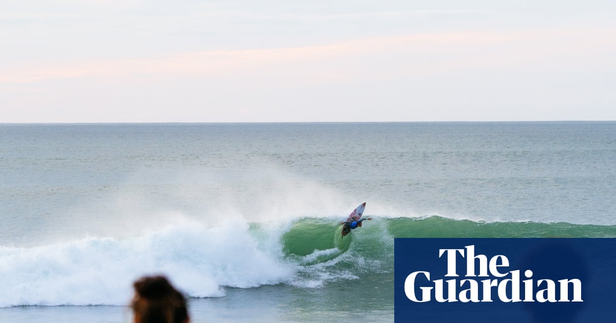 WSL event in New Zealand put on hold after Australian photographer bitten by ‘shark or a sea lion’ | Surfing
