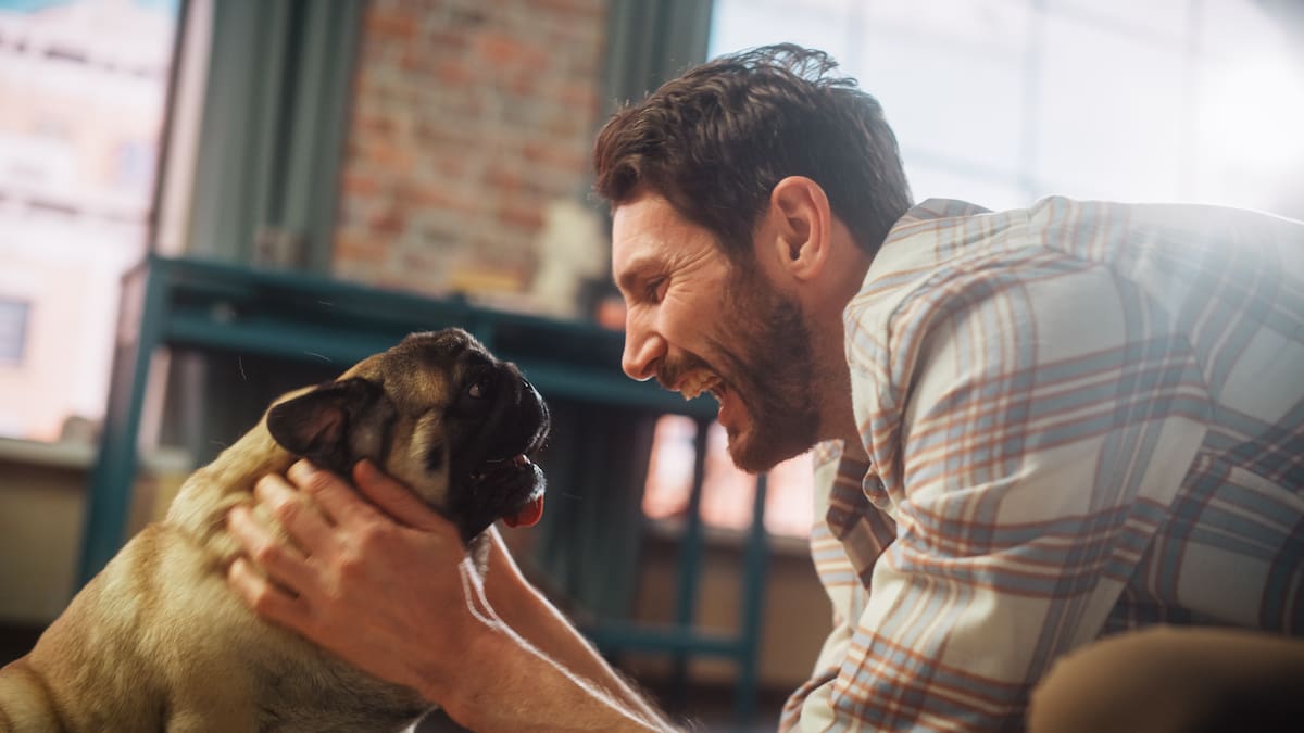 Can having a dog boost your longevity? Here’s what science says