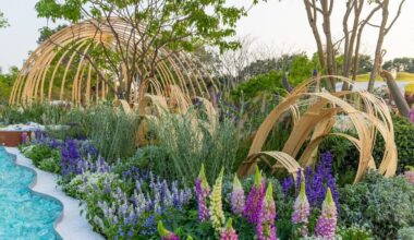 NZ landscape designer Jules Moore wins gold at Shenzhen Greater Bay Area Flower Show
