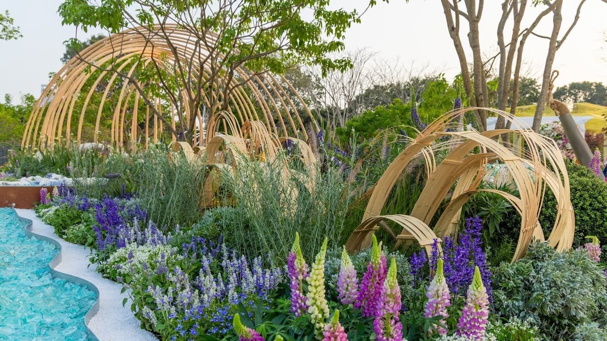 NZ landscape designer Jules Moore wins gold at Shenzhen Greater Bay Area Flower Show