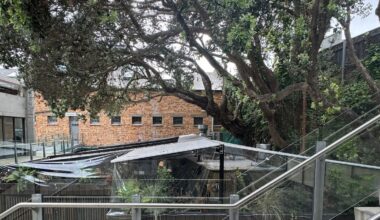 Milenta denied retrospective consent for Auckland restaurant building at Victoria Park