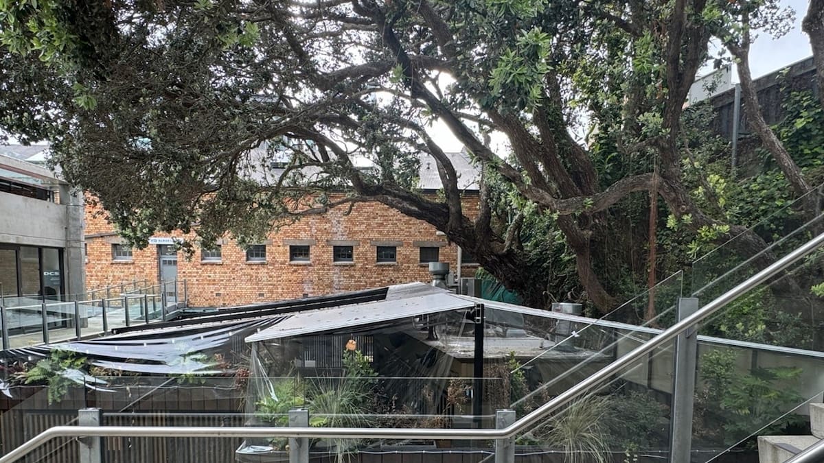 Milenta denied retrospective consent for Auckland restaurant building at Victoria Park