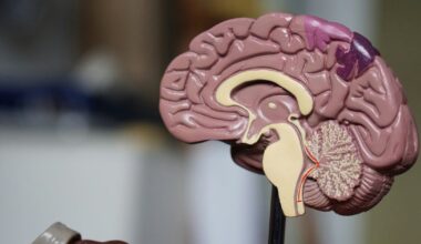 Arginine Could Slow Dementia Damage, Study Finds