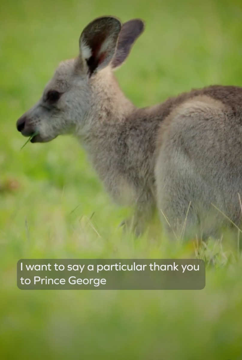 This latest moment of involvement came through a heartwarming collaboration with Australian conservationist Robert Irwin, son of the late Steve Irwin.