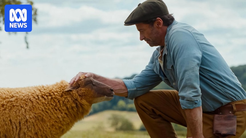 From sheep mysteries to housing crisis horror, here's what's in cinemas this month