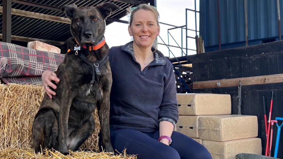 A woman sat on a straw hay bale cuddling a big dog. She is wearing a quarter zip jumper and smiling.