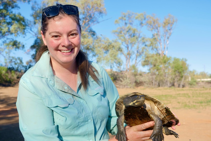 a women with brown hair in a pony tail and sunglasses on her head with a blue shirt holding a brown turtle