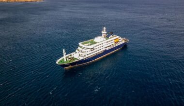 Hantavirus explained: What is the rat-borne illness at the centre of cruise ship outbreak?