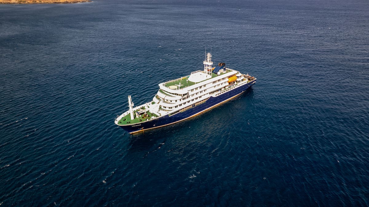 Hantavirus explained: What is the rat-borne illness at the centre of cruise ship outbreak?