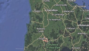 Person killed after being struck by tree while chopping it down