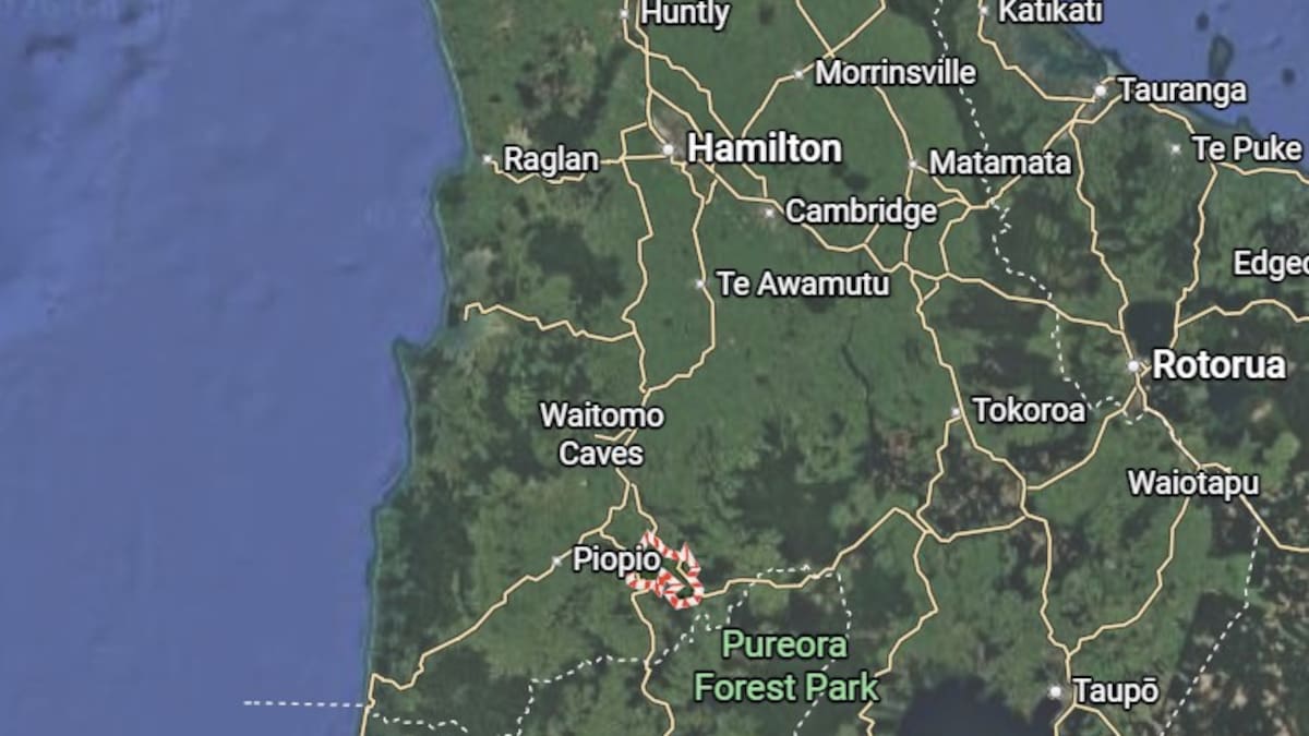 Person killed after being struck by tree while chopping it down