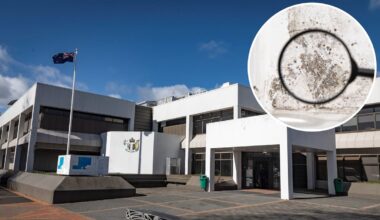 Rotorua courthouse black mould forces judges out, sentencings delayed