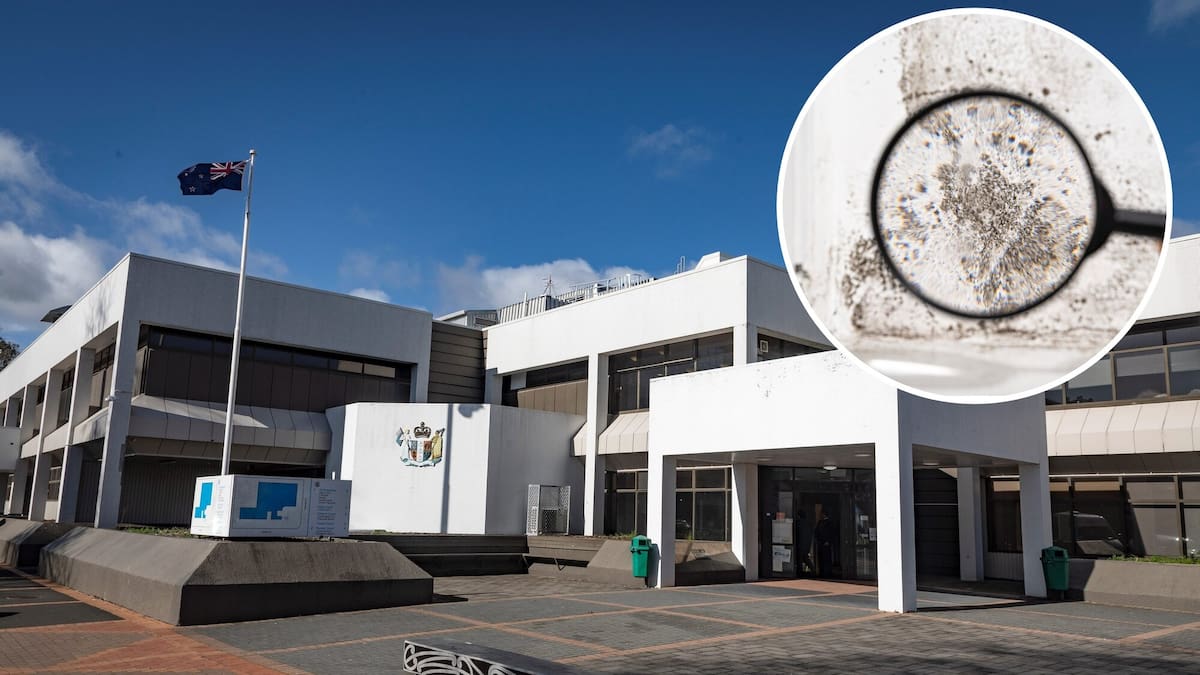 Rotorua courthouse black mould forces judges out, sentencings delayed