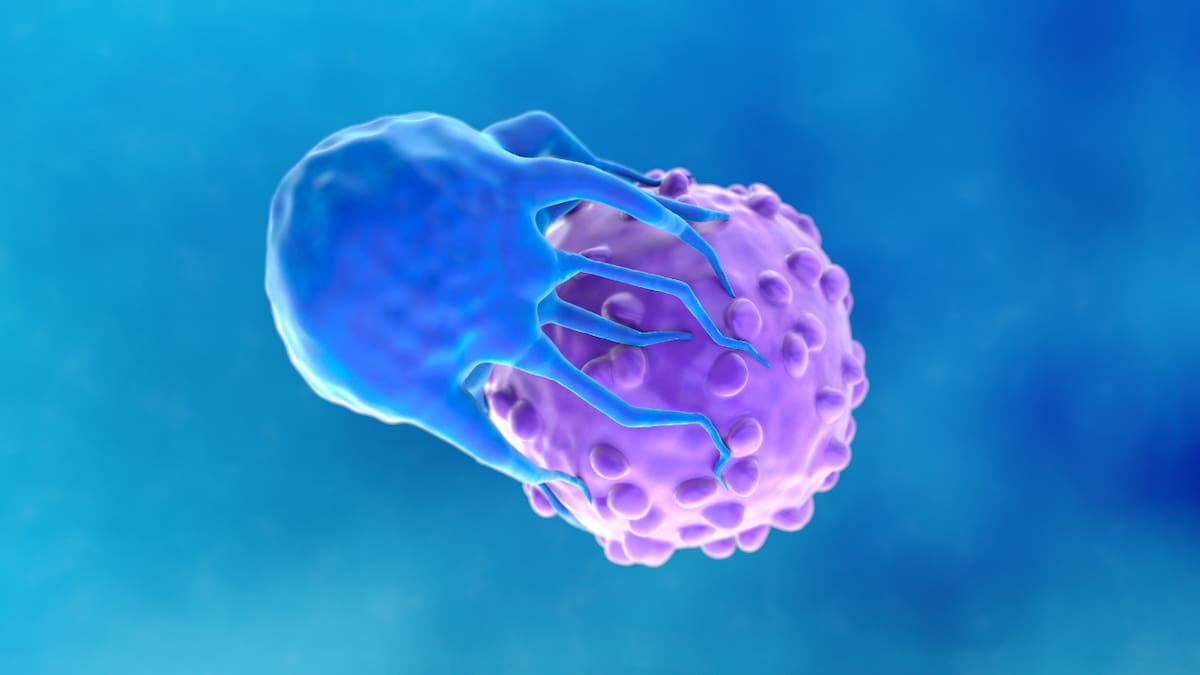The promising immunotherapy treatment giving blood cancer patients hope - if they can afford it