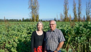 ‘Like a treasure map’: New tool points CHB farmers to more profitable crops
