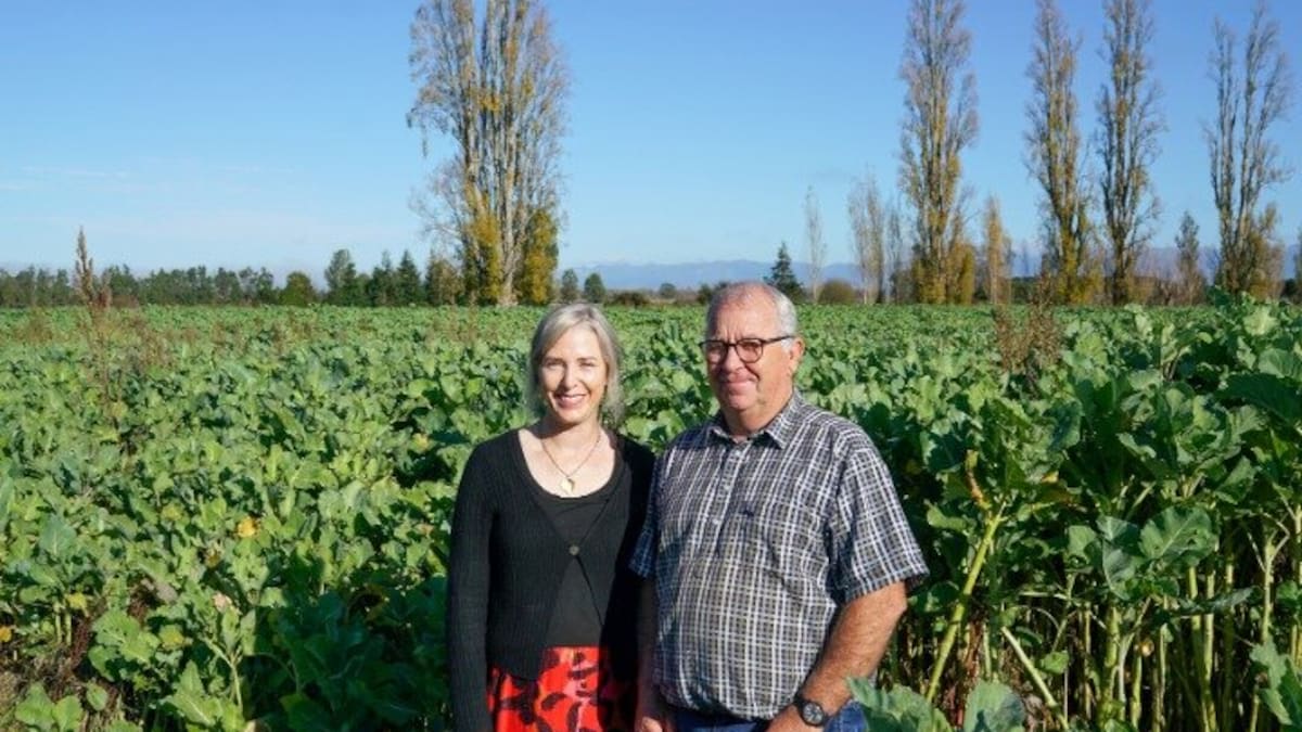 ‘Like a treasure map’: New tool points CHB farmers to more profitable crops