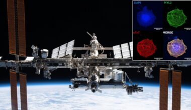 an image of an H-shaped space station in orbit above earth, with a superimposed image of four colorful blobs of cells overlaid