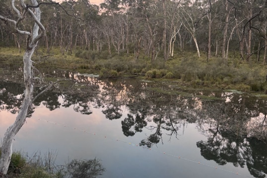 Sunrise photo of national park waterway