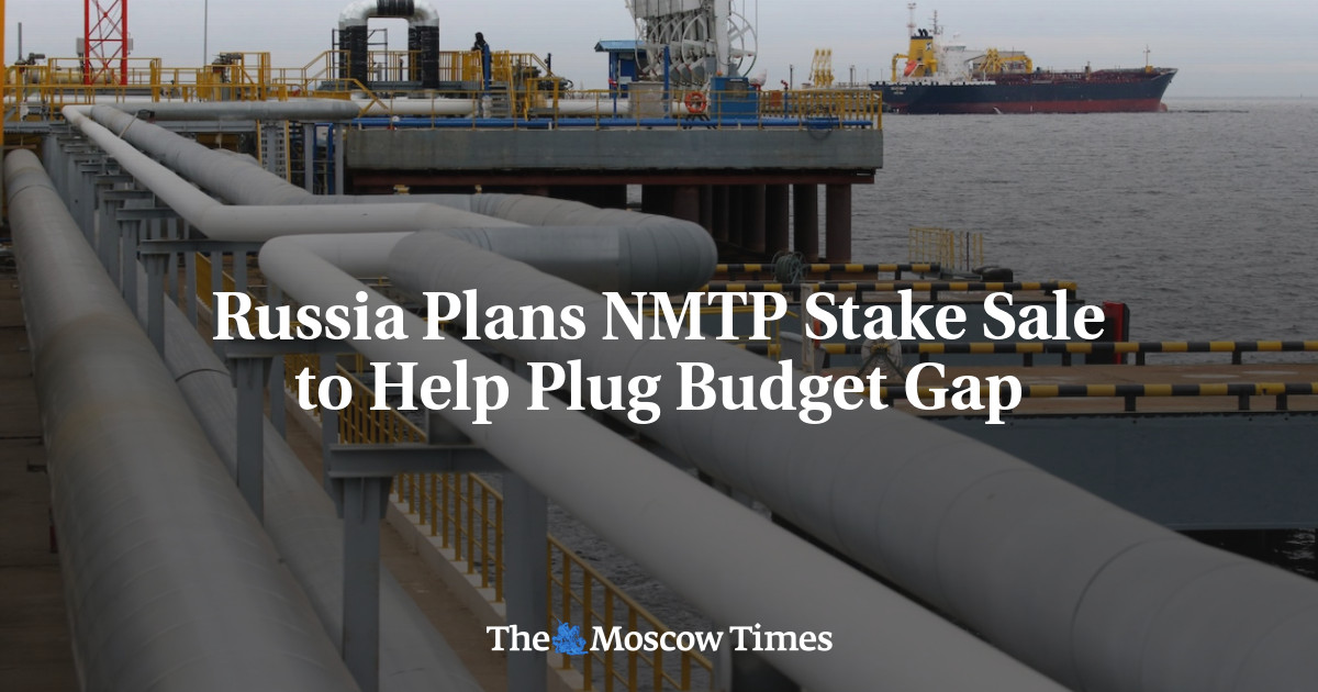 Russia Plans NMTP Stake Sale to Help Plug Budget Gap