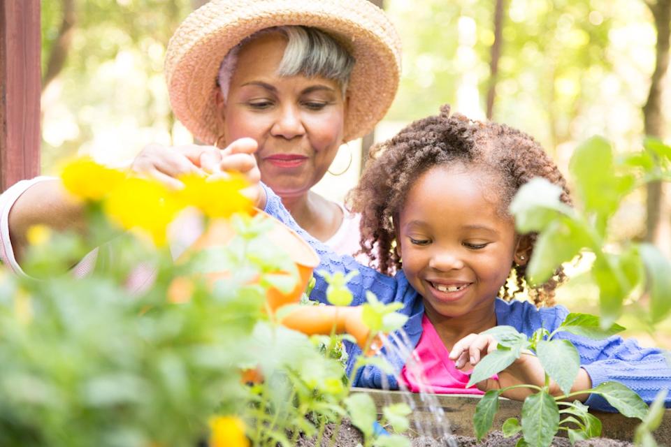 Grandparent and grandchild watering flowers.