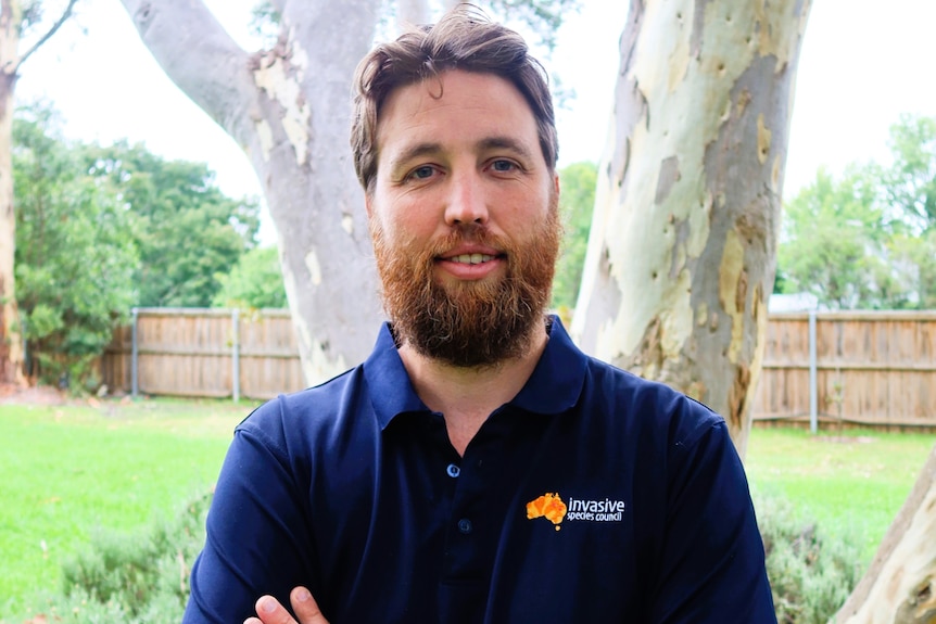 a man with a beard looks at the camera