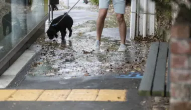 Wellington councils formalise water infrastructure and debt hand-off to Tiaki Wai - Stuff