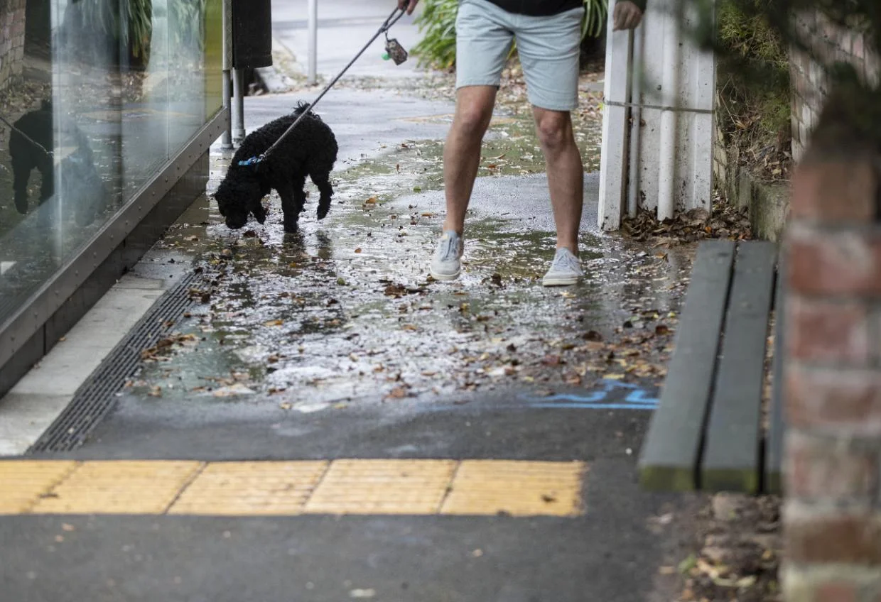 Wellington councils formalise water infrastructure and debt hand-off to Tiaki Wai - Stuff