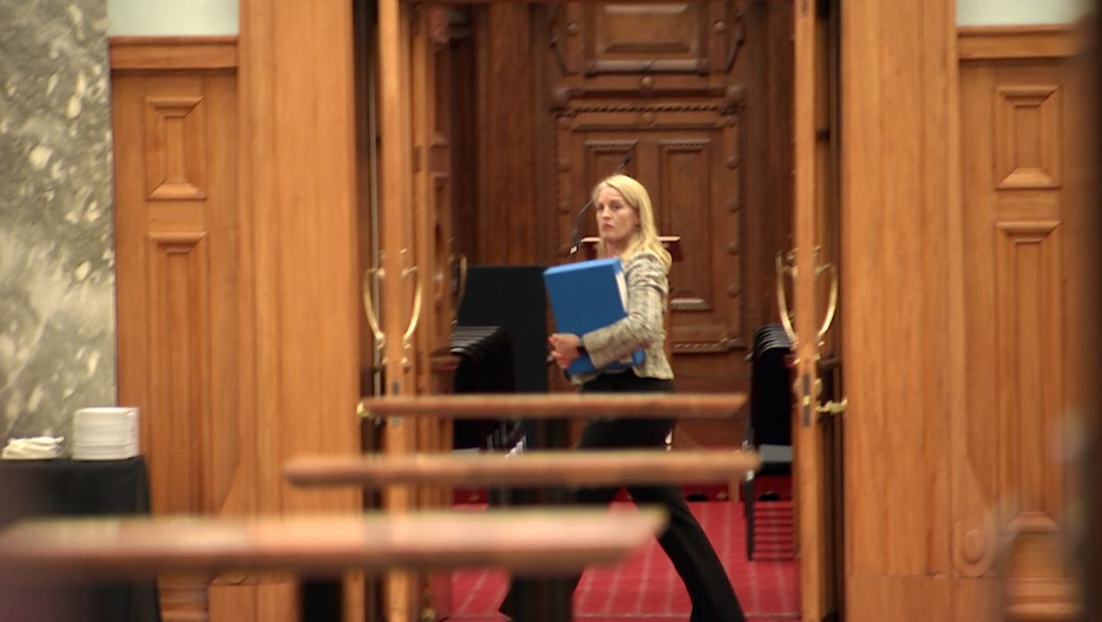 Minister seeking tougher accommodation supplement criteria claims $1000 a week housing allowance - Stuff
