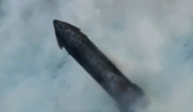 Watch live: SpaceX launches Starship rocket - Stuff