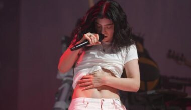 Lorde among media heavyweights backing new Kiwi-made streaming app - Stuff