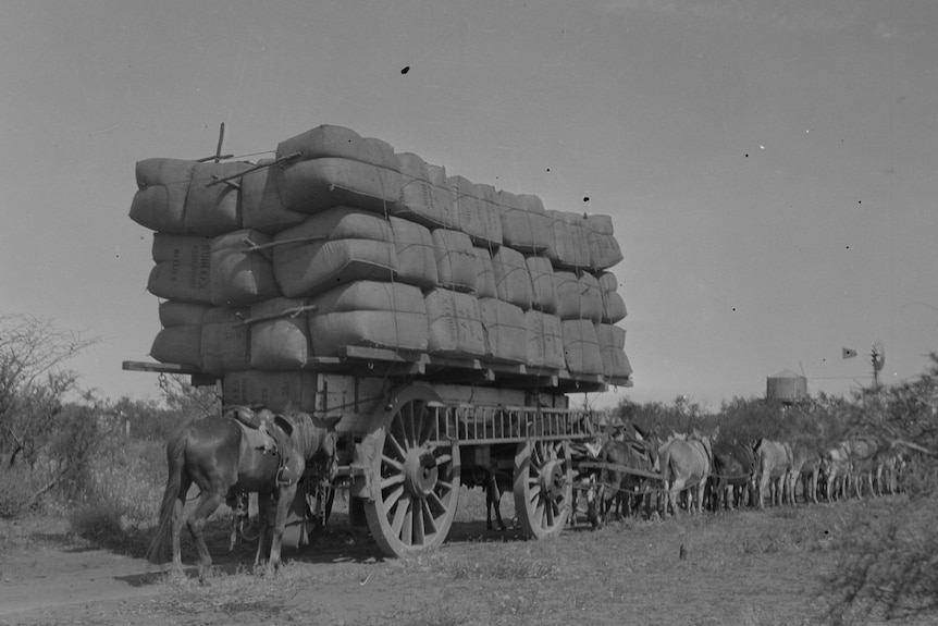 A towering pile of stacked bales on a wagon with donkeys
