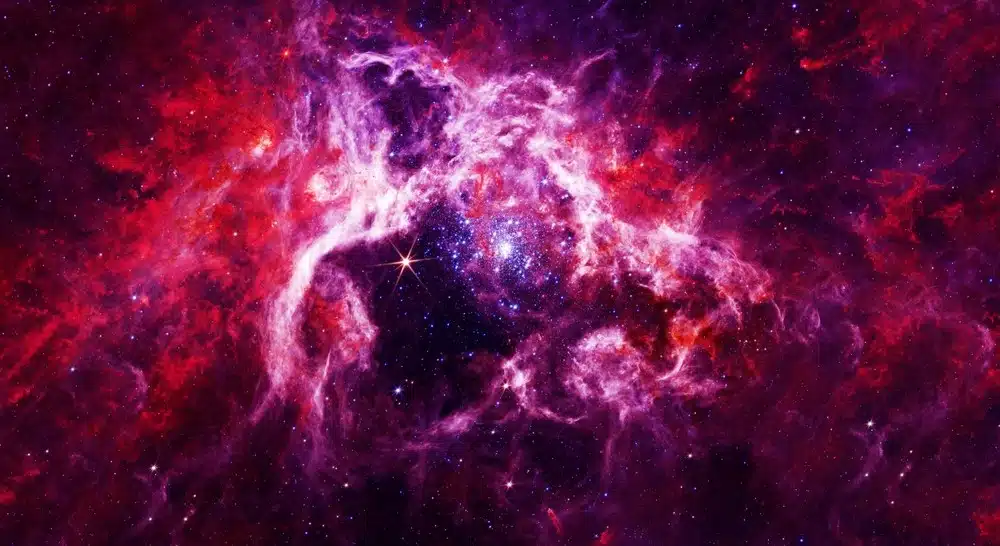 A Single Particle Mixing With The Higgs Boson Could Form The First Real Bridge Between Visible And Dark Matter